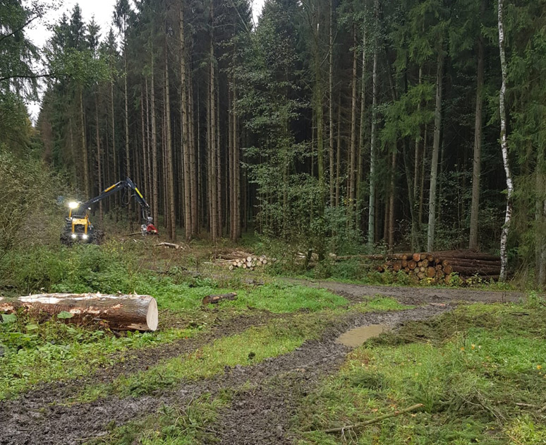Harvester im Wald Harvester im Wald