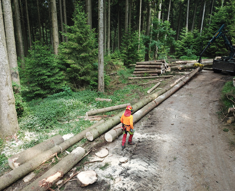 Arbeiter im Wald Arbeiter im Wald